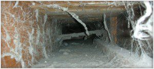 ac duct cleaning 