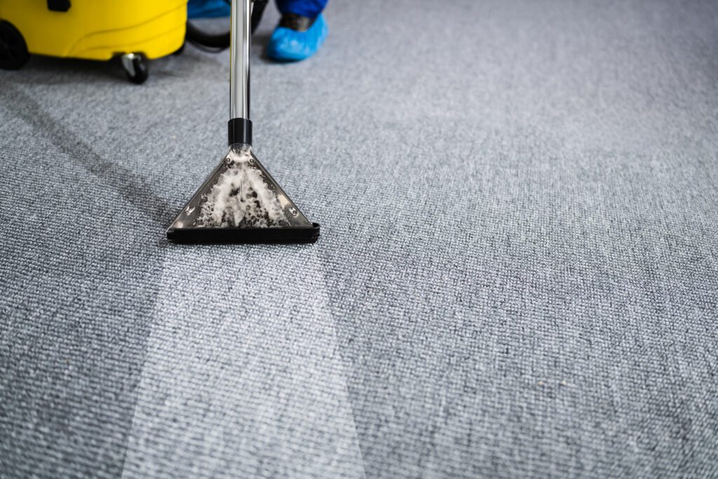 best carpet cleaning company in Fayetteville