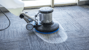 professional carpet cleaner Fayetteville NC