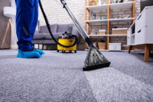 best carpet cleaning company in Fayetteville