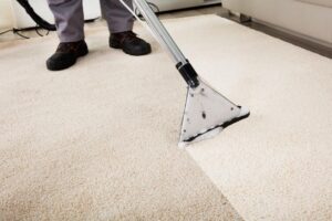 professional carpet cleaning in Fayetteville 