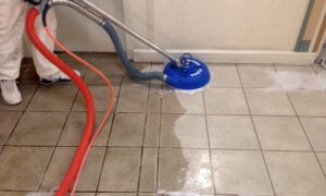 carpet cleaning Spring Lake NC
