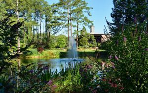 cape fear botanical garden