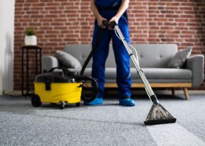 how to maintain your carpet